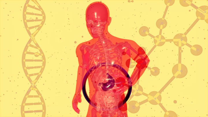 Оригинальный метод прогнозирования язвы желудка запатентовали российские ученые