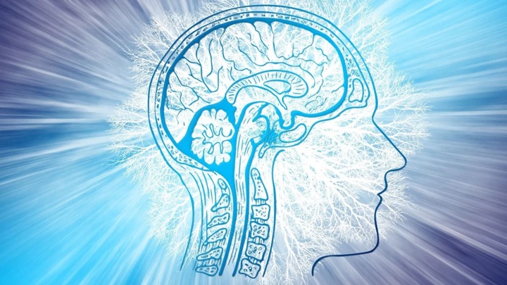 Для тела и мозга: умственные способности можно улучшить даже в старости