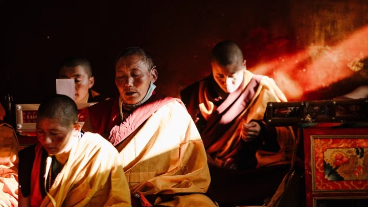 Глубокая медитация меняет организм буддийских монахов