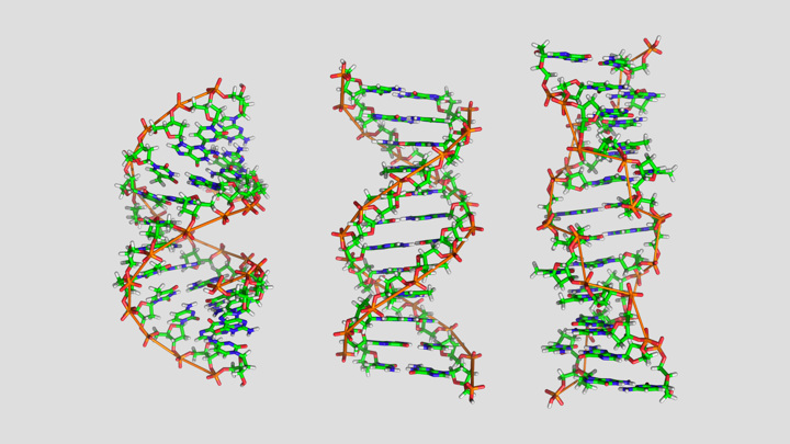 Искусственный интеллект помог в изучении Z-ДНК