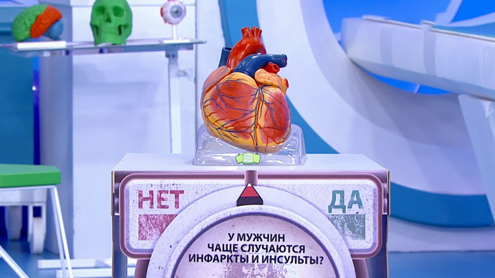 Кадр из программы 