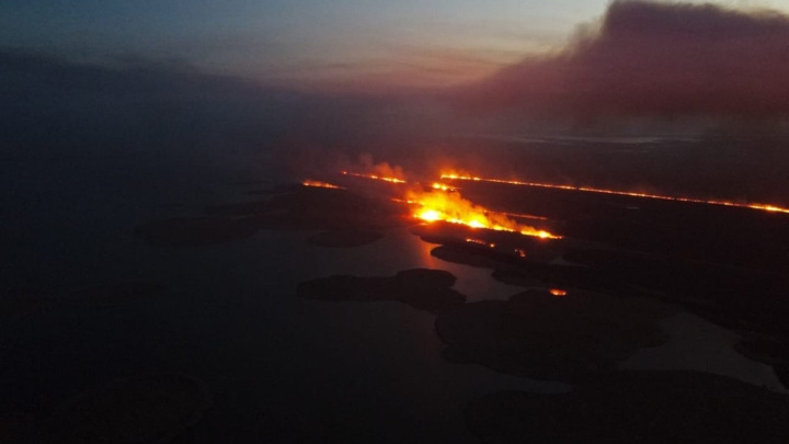 Пожар в Астраханском заповеднике принял угрожающие масштабы