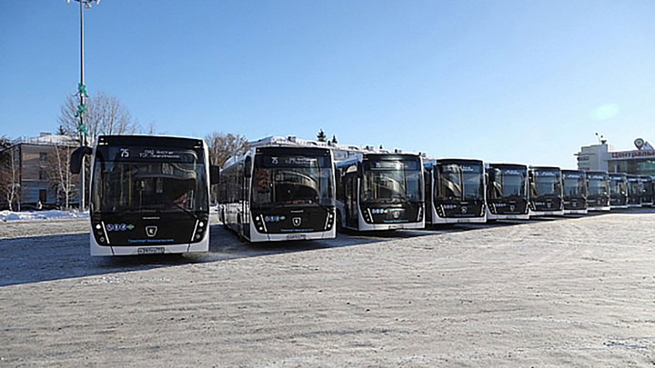 Доля автобусов Nefaz в России выросла с 5,1% до 9,6%