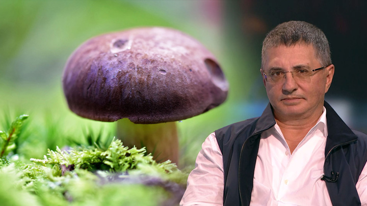 Доктор Мясников объяснил, почему грибы нельзя считать пищей
