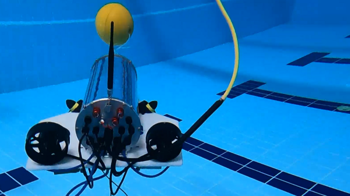 滨海边疆区机器人公司将在国际比赛中展示智能两栖动物