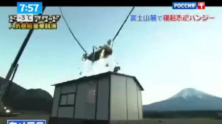 znamenitostey-privyazal-k-krovati-i-ostavil-video-snyali-svoy