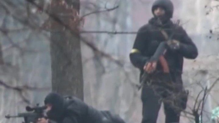 Журналісти неправильно зрозуміли мої слова, - адвокат Януковича Сердюк - Цензор.НЕТ 575